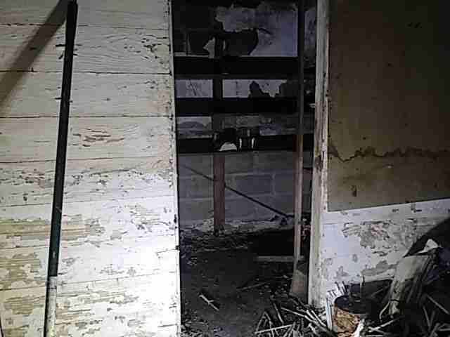 Testing again(22).jpg